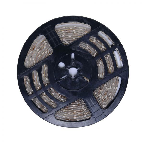 16.4FT IP66 Casing waterproof Flexible LED Strip side light Type 5M SMD 600 LEDS White 12VDC
